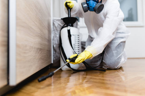 Best Flea Control Services  in Upper Ack, NY