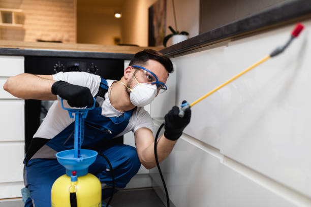 Best Cockroach Control Services  in Upper Ack, NY