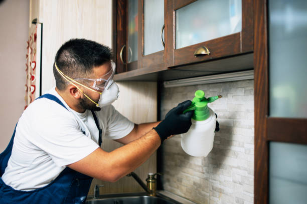 Best Exterminator Services  in Upper Ack, NY
