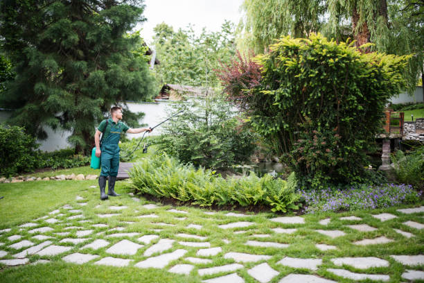 Best Affordable Pest Control Services  in Upper Ack, NY