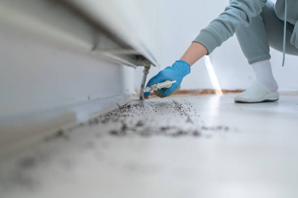 Best Best Pest Control Near Me  in Upper Ack, NY
